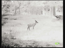 Load image into Gallery viewer, Prodigy Mini 13mm Lens, Thermal Scanner - TriggersAndScopes