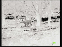 Load image into Gallery viewer, Prodigy Mini 13mm Lens, Thermal Scanner - TriggersAndScopes